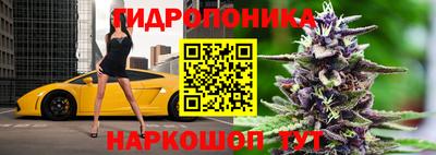 винт Северобайкальск