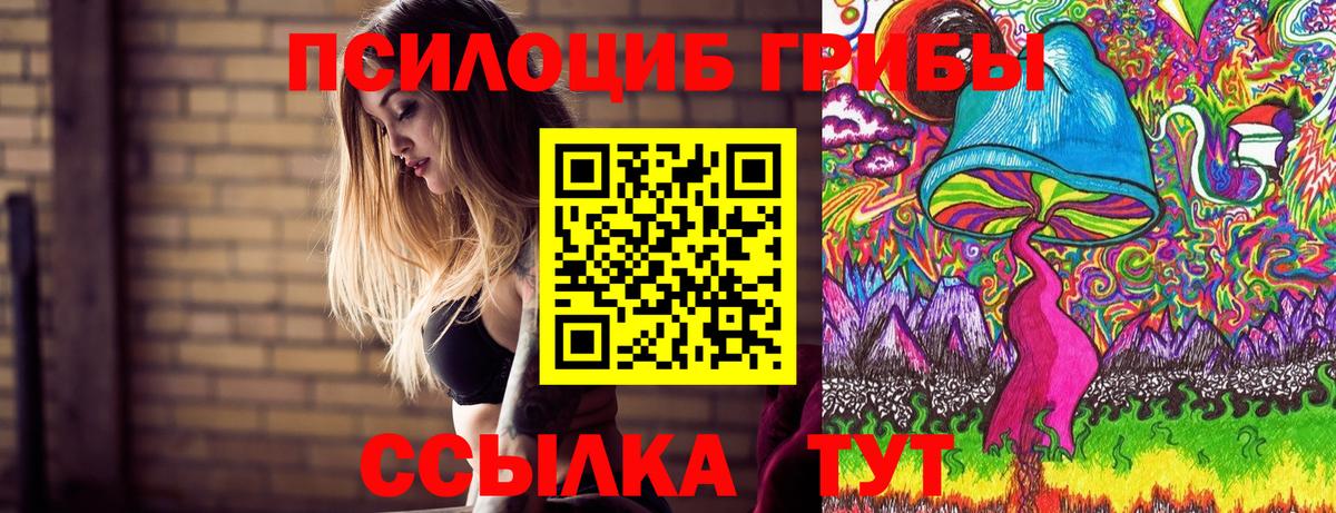 Псилоцибиновые грибы Cubensis Светлоград
